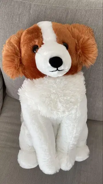 흐물흐물 코이켈혼디에 오데코짱 AMUFUN