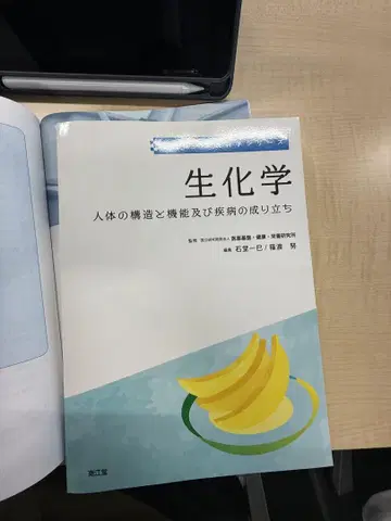 생화학 인체의 구조와 기능
