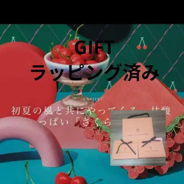 UNITED ARROWS 애로우즈 긴자와 레이스 체리 쇼핑백