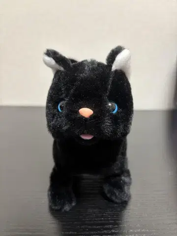 또각또각 걸으며 야옹야옹 우는 아기 고양이들 봉제 인형 검은 고양이