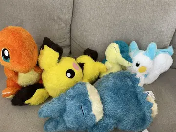 포켓몬 봉제 인형 세트