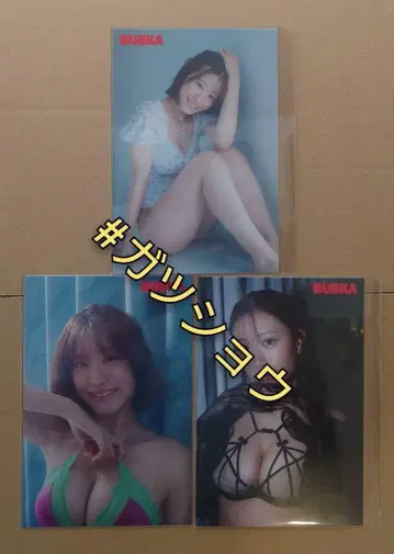BUBKA 2024년 11월호 증간 조니시 레이 에비츠타 엽서 3종