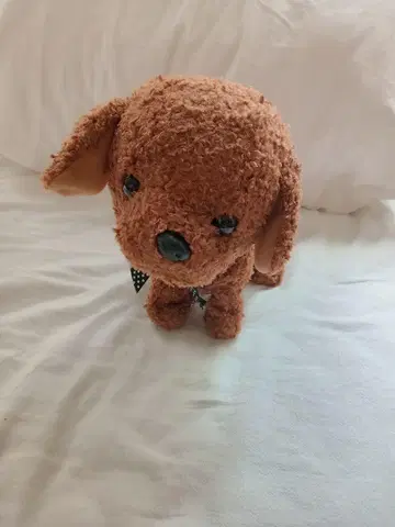 세가 토이즈 코코 거꾸로 서서 초콜릿 색