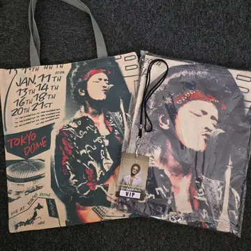 브루노 마즈 토트백 담요 미사용 보관품 VIP