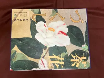 차꽃 모음 로편 후로편