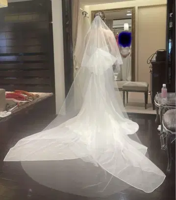 더 트릿 드레싱 베일