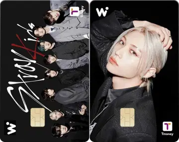 2장 세트 Stray Kids WOWPASS 필릭스 와우패스 스키즈
