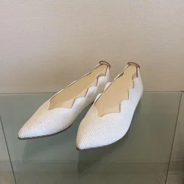 Offen 오펜 스캘럽 패턴 화이트 38 24cm