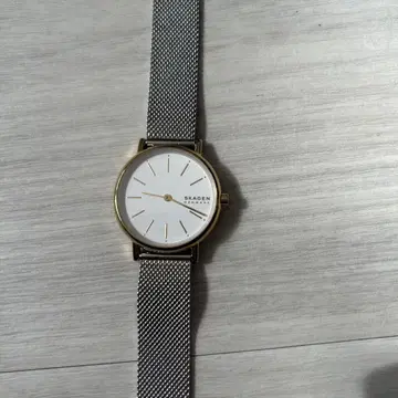 SKAGEN Denmark SKW2910