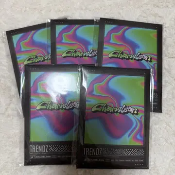 TRENDZ Chameleon 포카 앨범 5장 세트