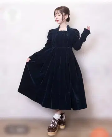 클래시컬 벨로아 원피스