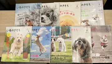 강아지의 마음 9호 세트