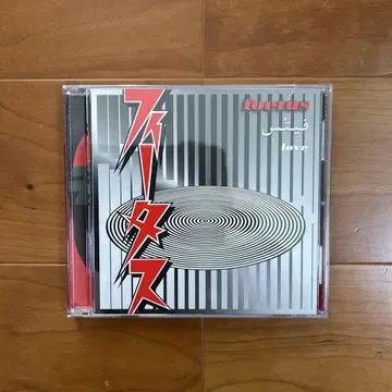 foetus/love 수입반