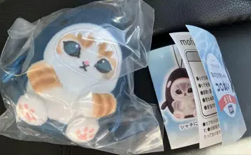 모프 샌드 mofusand 바다의 생물냥 코로누이 상어냥 네이비