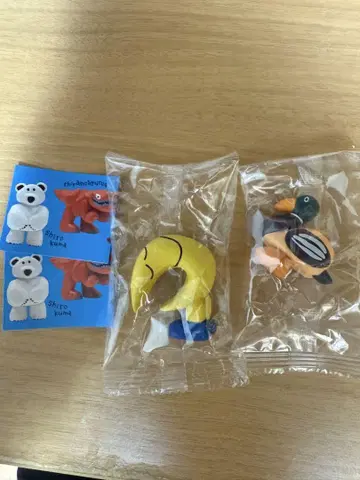 다이스케 콘도 츠키 카모