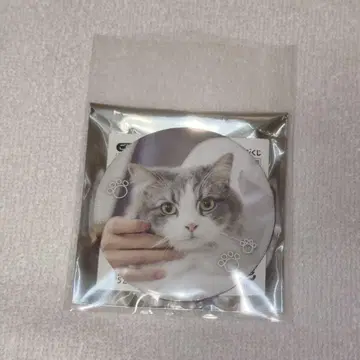 사토미 원맨 라이브 캔뱃지 야마토