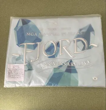 FJORD ANNIVERSARY LIVE 티셔츠 M 사이즈