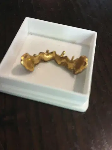 금니 6g