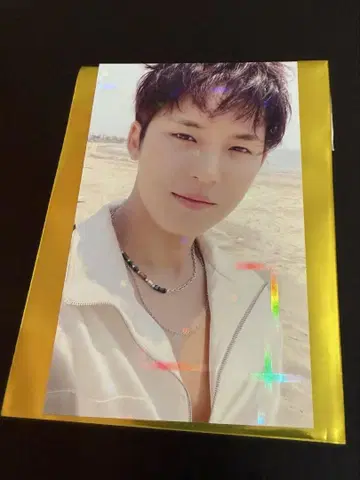 트레이딩 카드
