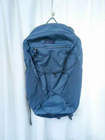 파타고니아 테라비아 팩 22L 백팩 새상품급