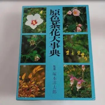 원색 브라운 꽃 대사전 (주)탄코샤 대형 도서