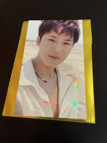 트레이딩 카드