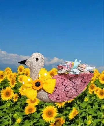 시마 씨 인형 세트