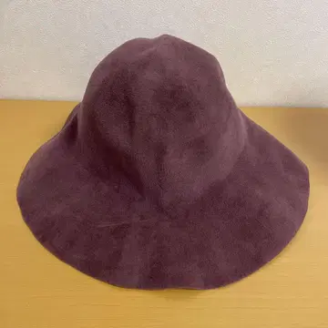 펠트 햇