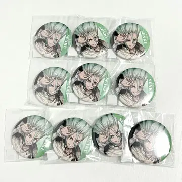 Dr.STONE DMM 스크래치 레이니 데이 이시가미 센쿠 캔뱃지 10점