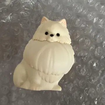 산책 포메 라이트