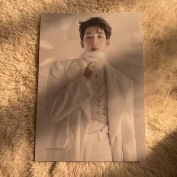 seventeen 세부치 원우 아이노치카라 타워 레코드 플라이어