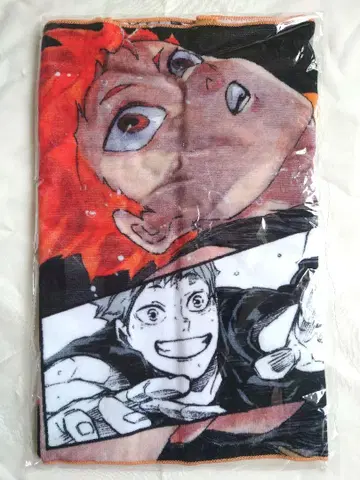 하이큐!! 히나타 쇼요 풀컬러 페이스 타월 2020