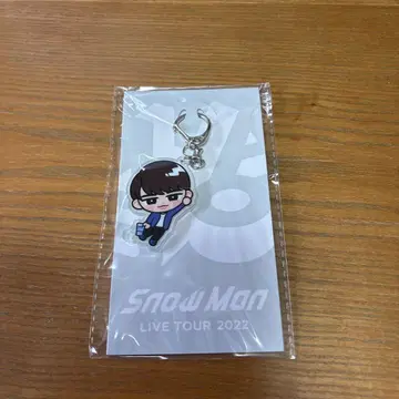 미사용 새상품 와타나베 쇼타 SnowMan 아크링 키링