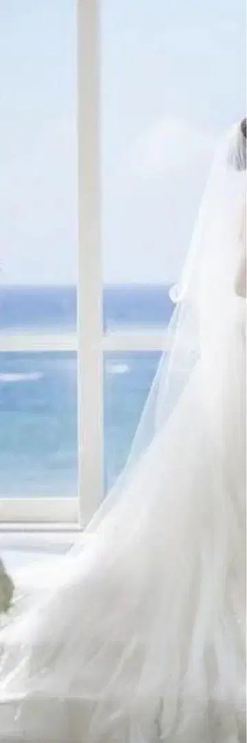 프로노비아스 롱 베일 무지 LF75