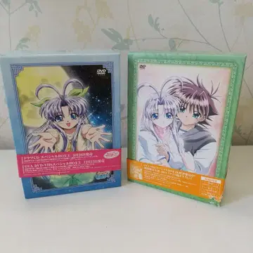 마모테 스기츠텐 DVD 세트