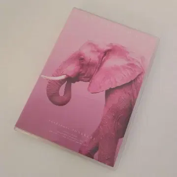 요네쿠라 토시노리 Pink Elephant DVD