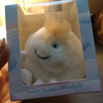 Feelin'Go(o)d Windy