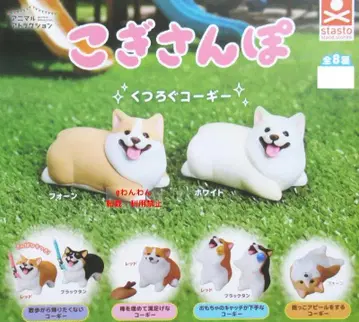 코기 산책 전 8종 전종 세트 컴플리트 코기