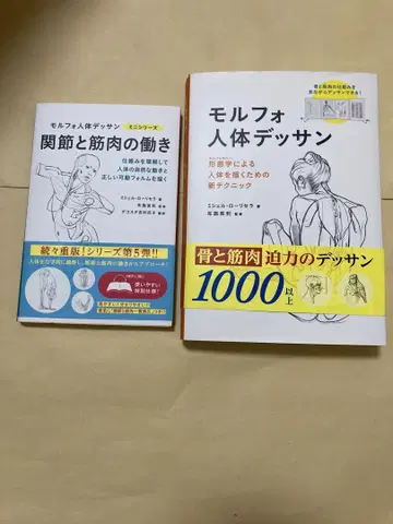 모르포 인체 데셍 관절과 근육의 작용