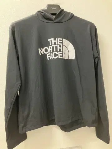 THE NORTH FACE 롱 슬리브 빅 로고 숏 후디 M