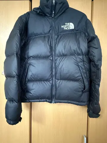 THE NORTH FACE 눕시 다운