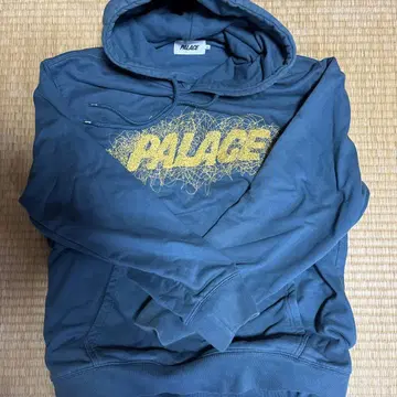 palace skateboards 후드티