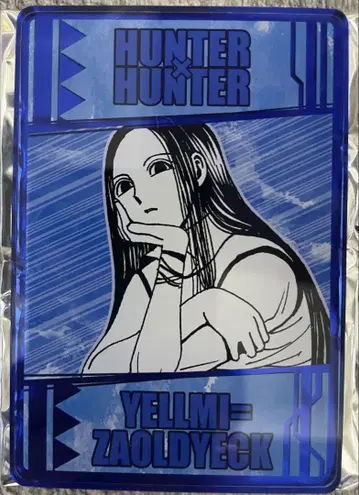 HUNTER x HUNTER 옐미 이르미 넨 능력 카드 컬렉션