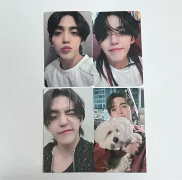 세븐틴 방문자 한정 트레이딩 카드 에스쿱스