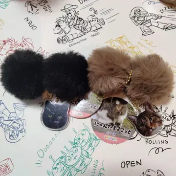 냥타마 스코트 2색 세트