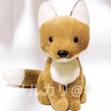 [ 즉시 구매 OK ] 오오이케 여우 봉제 인형