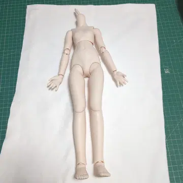 MDD 베이스 바디 DD-f3 세미 화이트