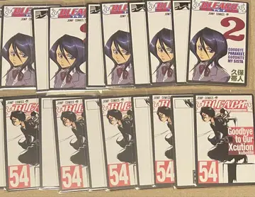 BLEACH 뼈대 쿠키 루키아 10조