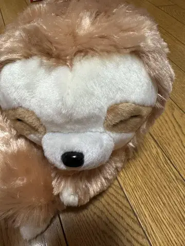 AMUSE 나무늘보 봉제 인형