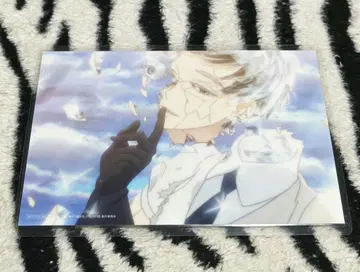 보석의 나라 엽서 타워 레코드 라미네이트 완료 NOT FOR SALE